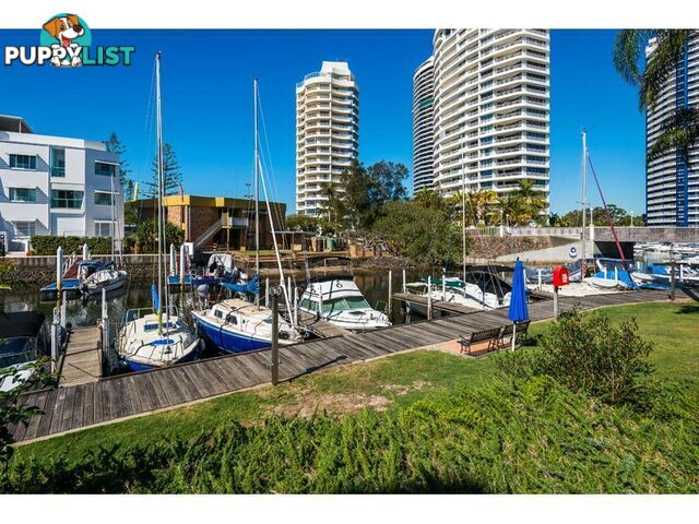 49/37 Bayview Street Runaway Bay QLD 4216