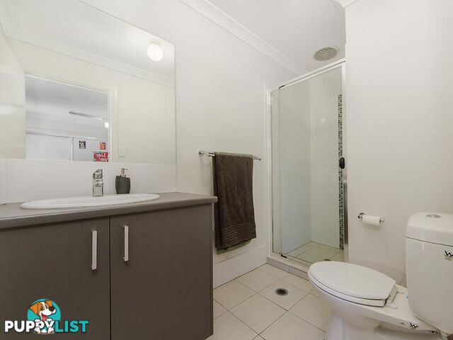 1 Copper Parade Pimpama QLD 4209