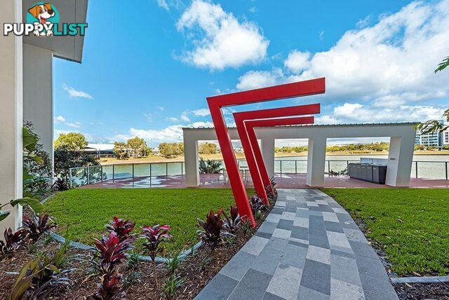 2905/25-31 East Quay Drive Biggera Waters QLD 4216