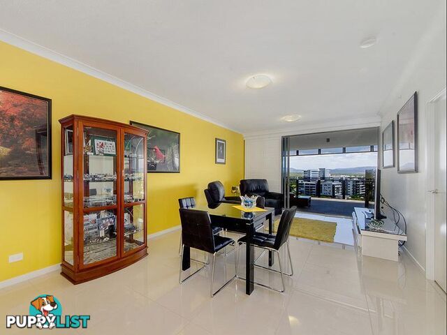 2905/25-31 East Quay Drive Biggera Waters QLD 4216