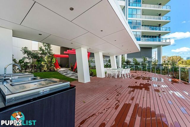 2905/25-31 East Quay Drive Biggera Waters QLD 4216