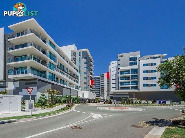 2905/25-31 East Quay Drive Biggera Waters QLD 4216