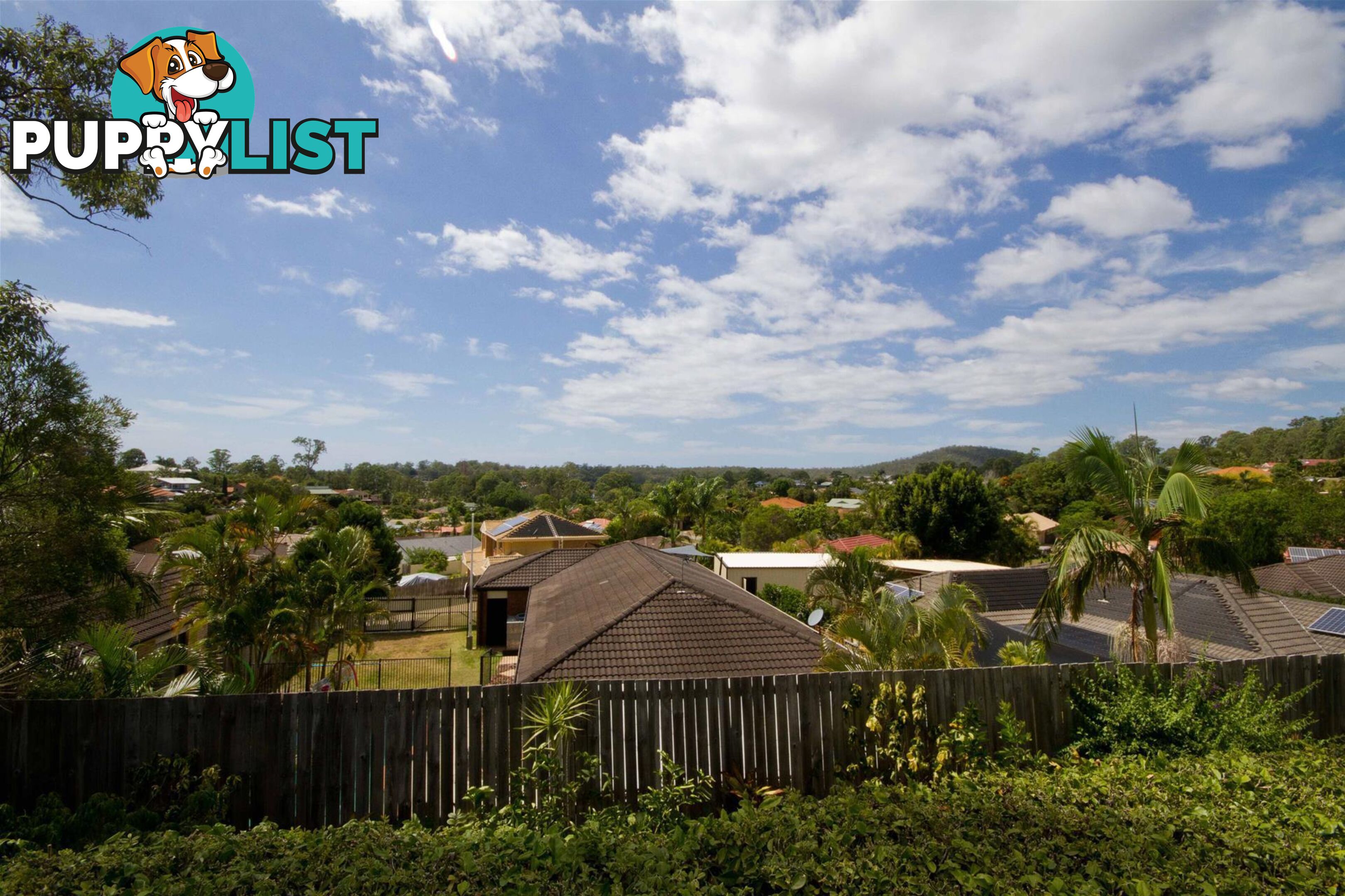 59 Stanfield Drive Upper Coomera QLD 4209