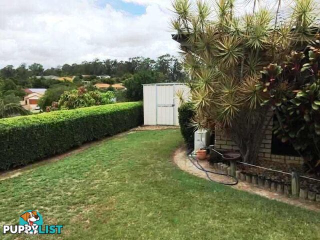 59 Stanfield Drive Upper Coomera QLD 4209