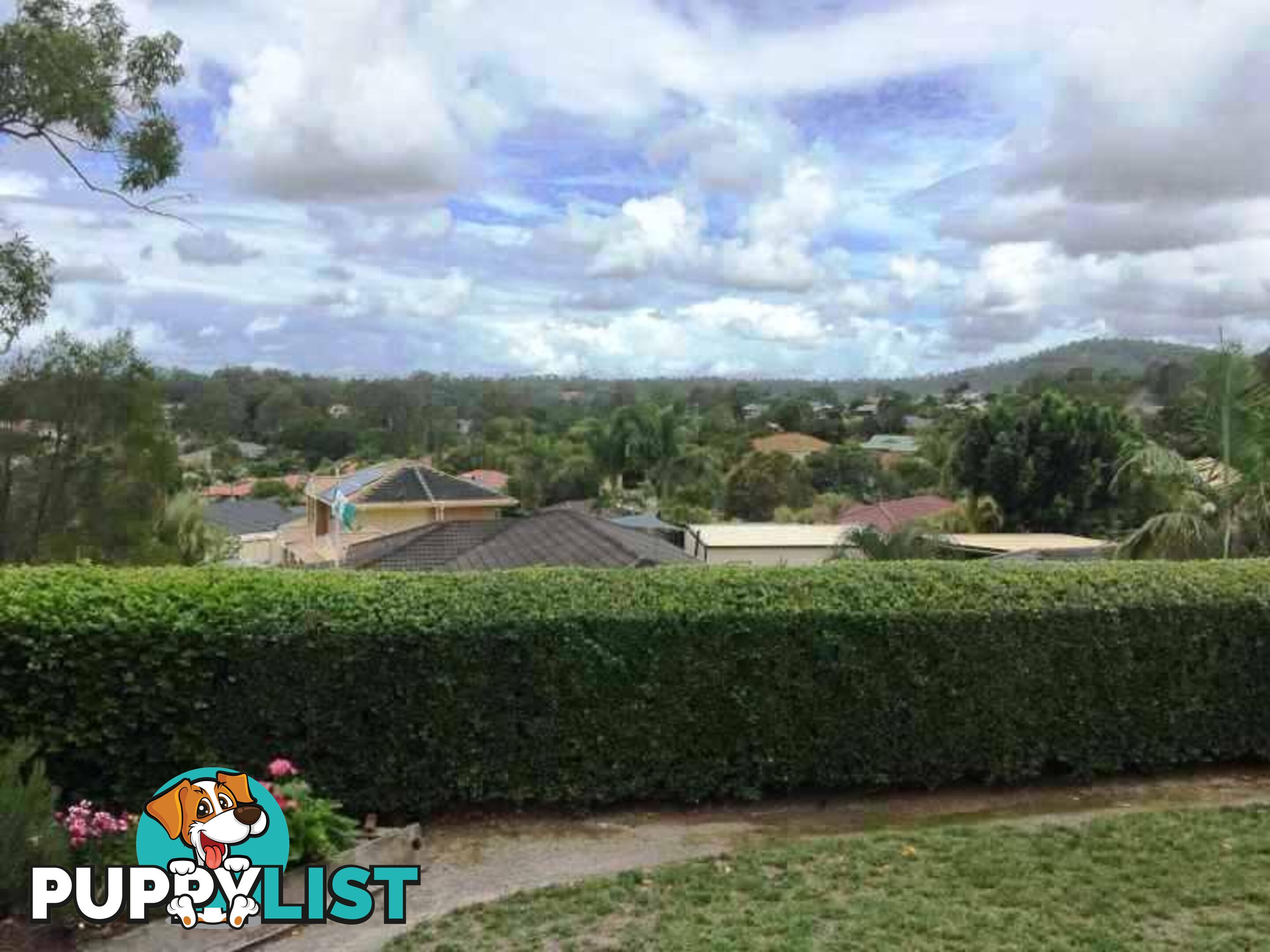 59 Stanfield Drive Upper Coomera QLD 4209