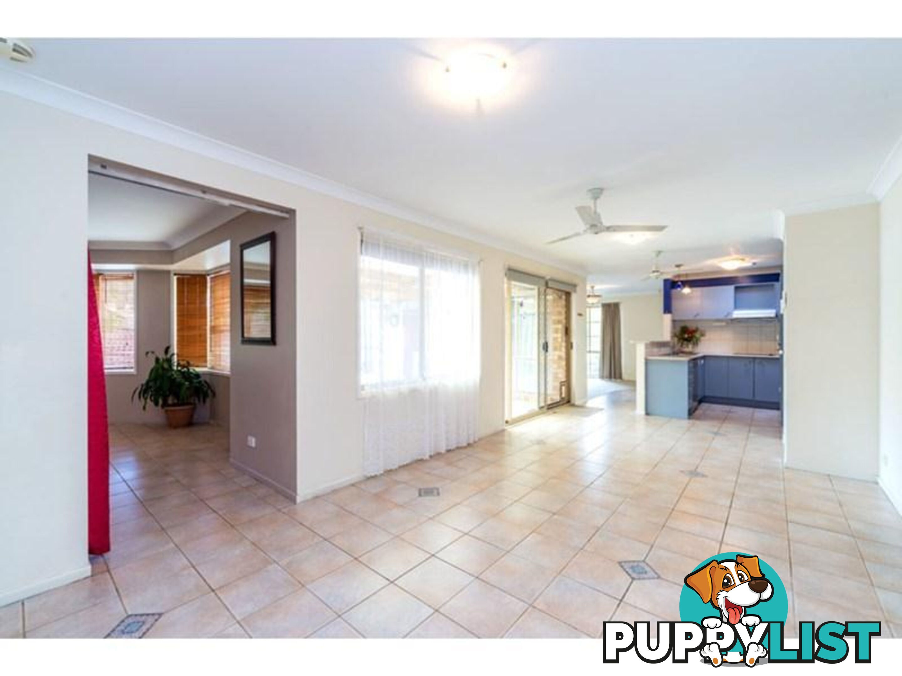 7 Pinedale Street Oxenford QLD 4210