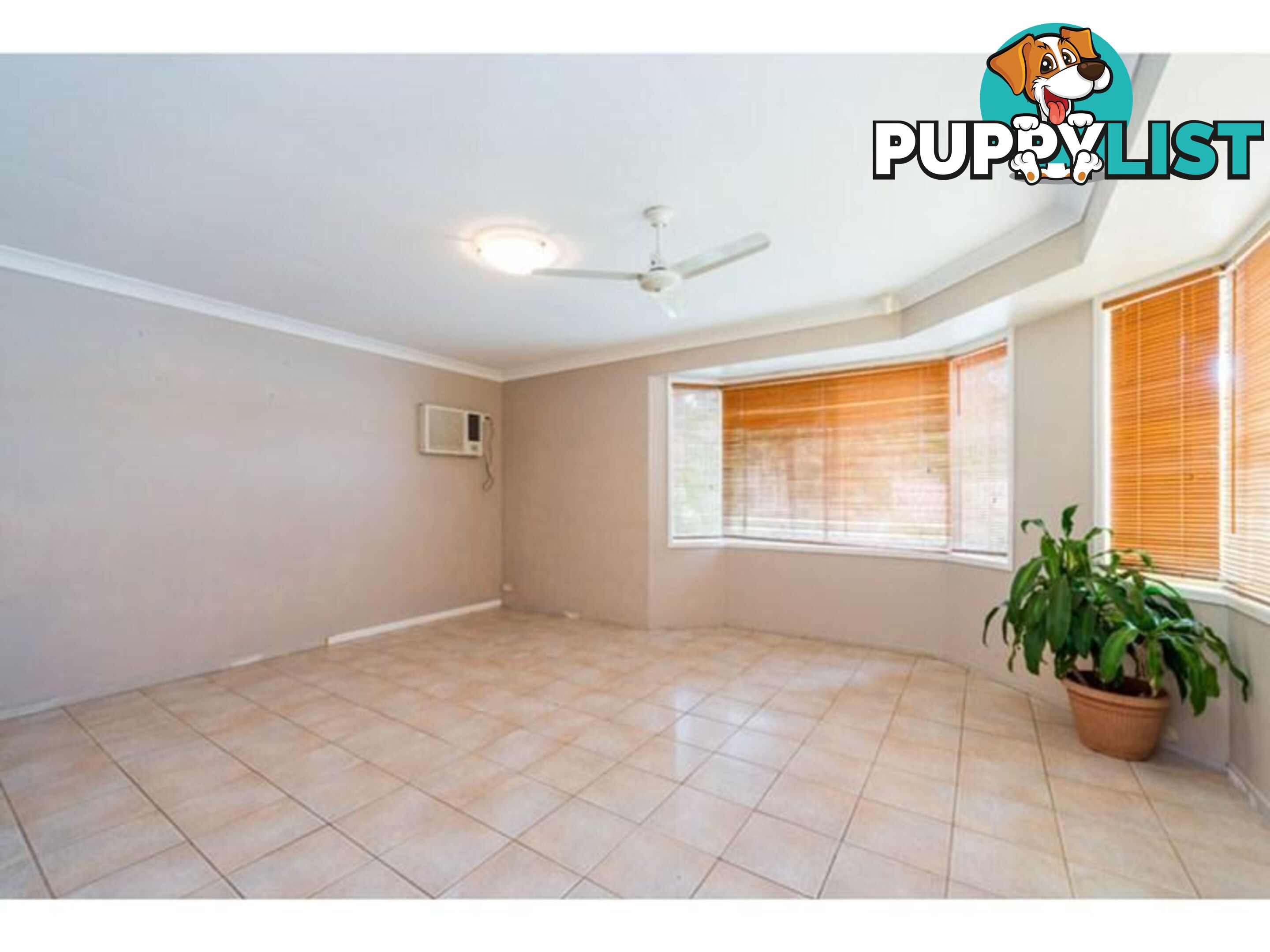 7 Pinedale Street Oxenford QLD 4210