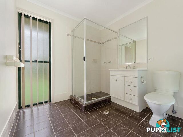 8 Gilpin Court Upper Coomera QLD 4209