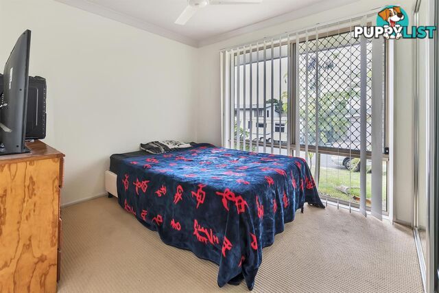 9 Appollo Place Oxenford QLD 4210