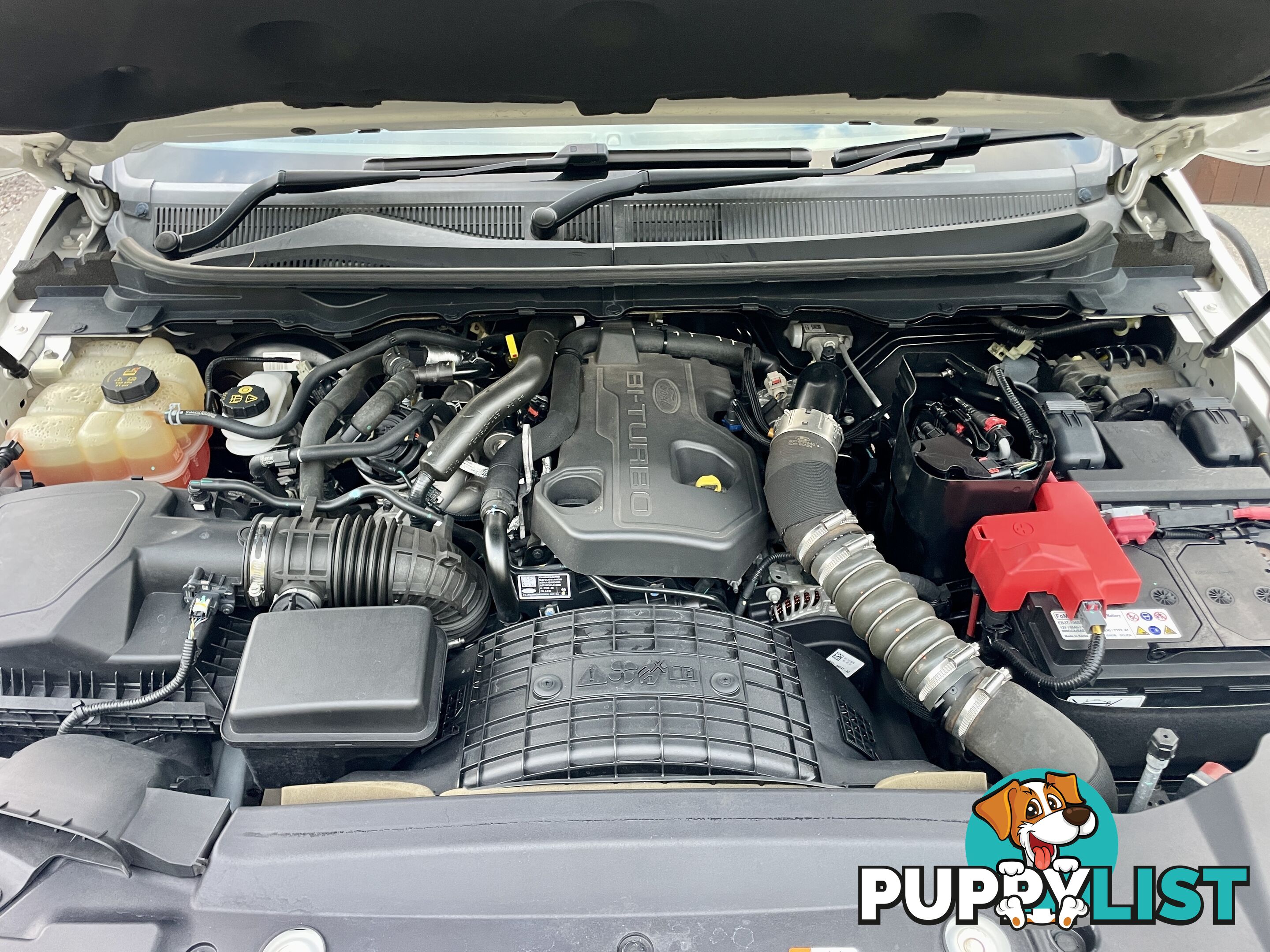 2020 Ford Ranger PX MKIII MY20.25 WILDTRAK Ute Automatic