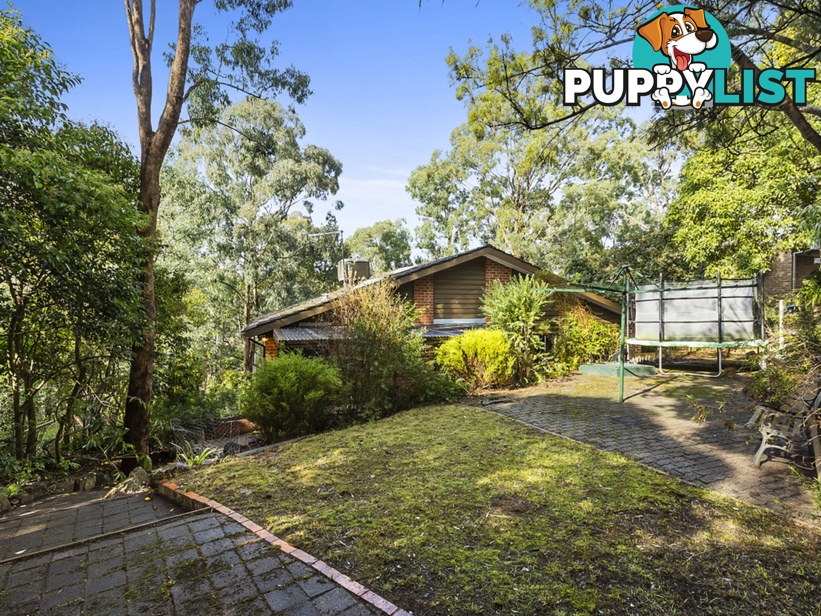 10 Sunninghill Court MITCHAM VIC 3132