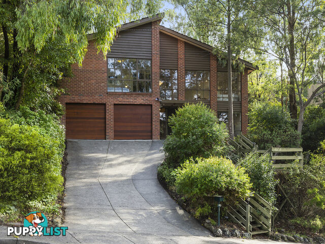 10 Sunninghill Court MITCHAM VIC 3132