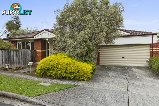 2C Ray Road BURWOOD EAST VIC 3151