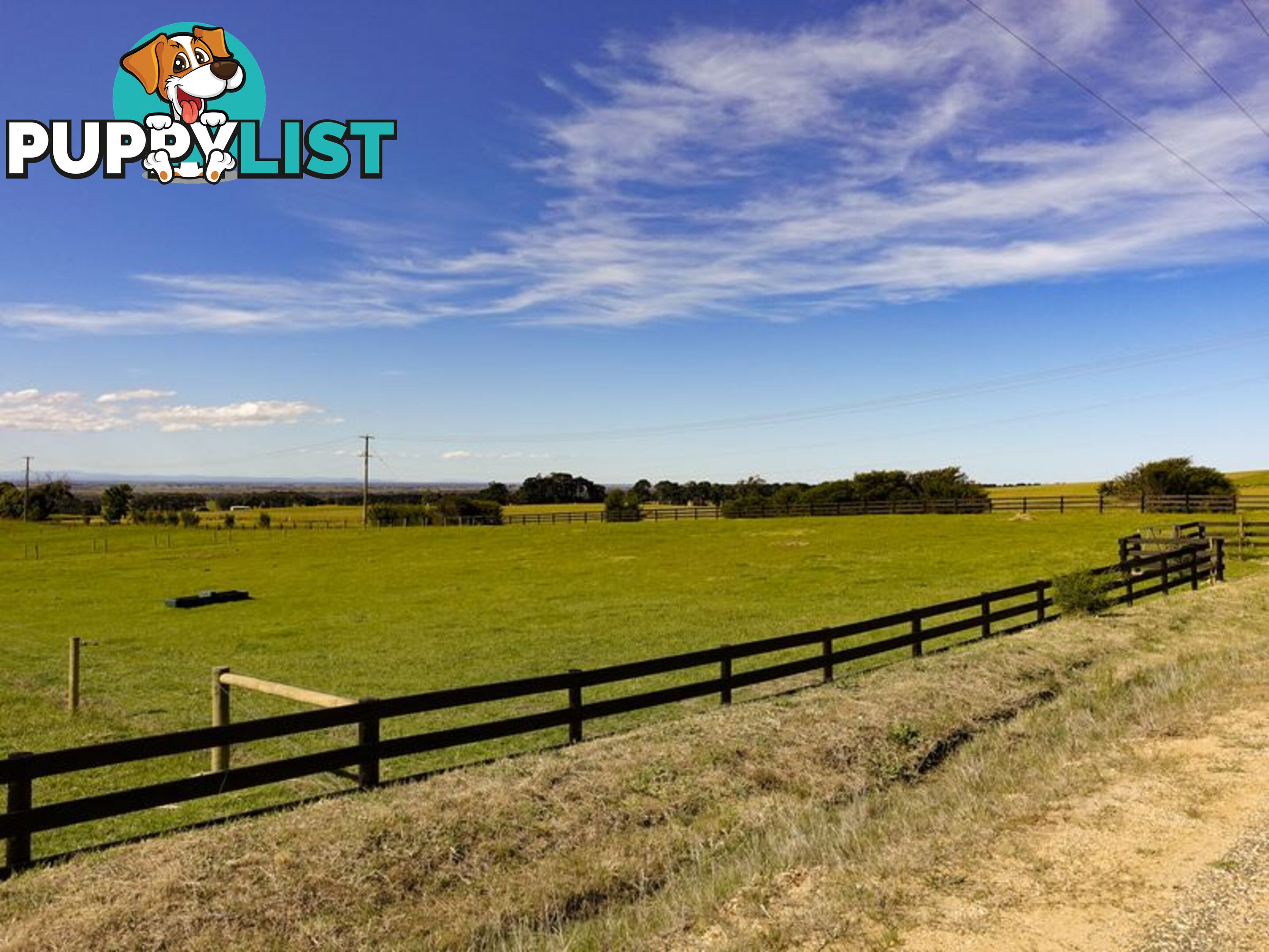 Lot 5 Andrews Road LONGFORD VIC 3851