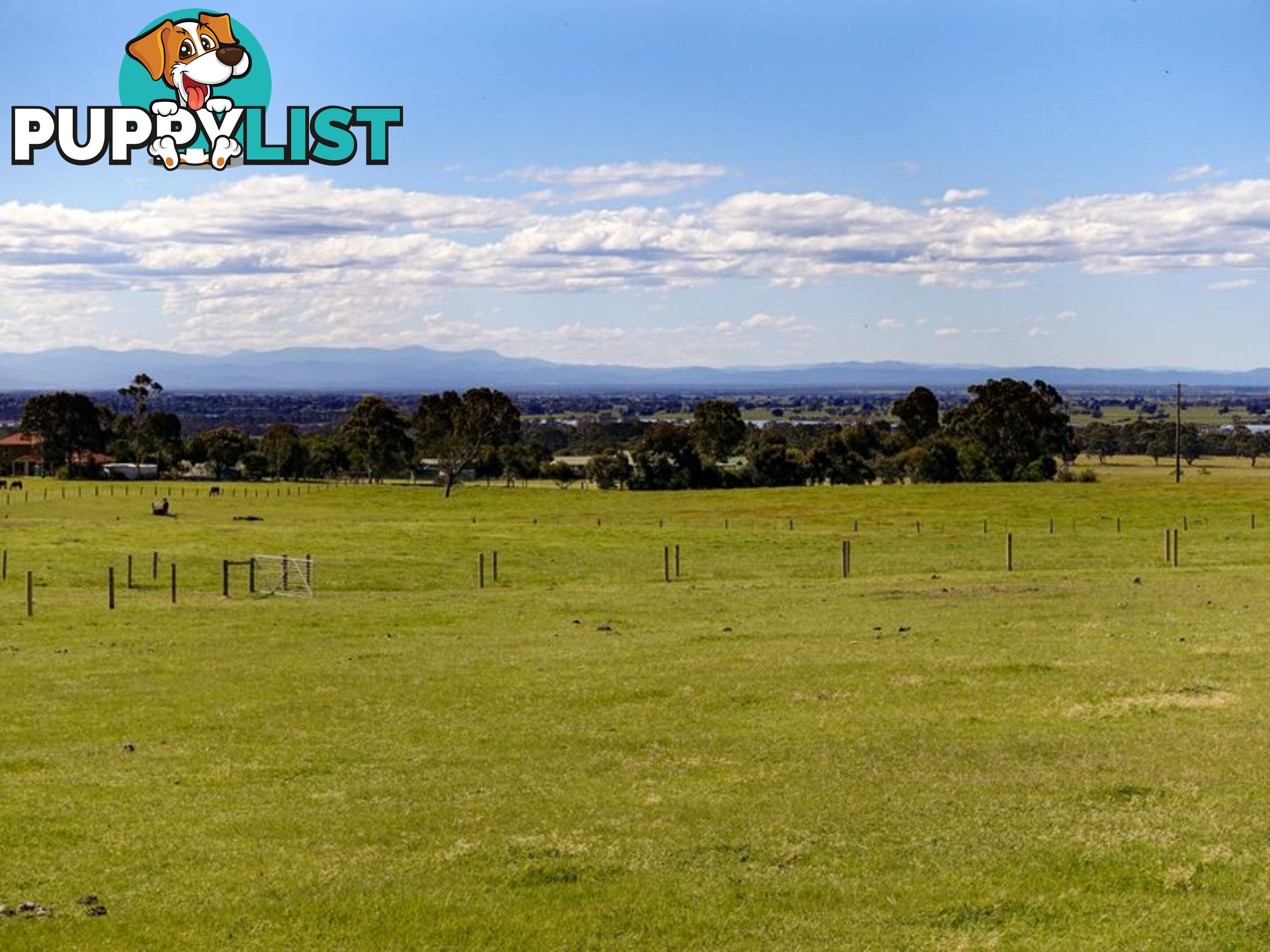 Lot 5 Andrews Road LONGFORD VIC 3851