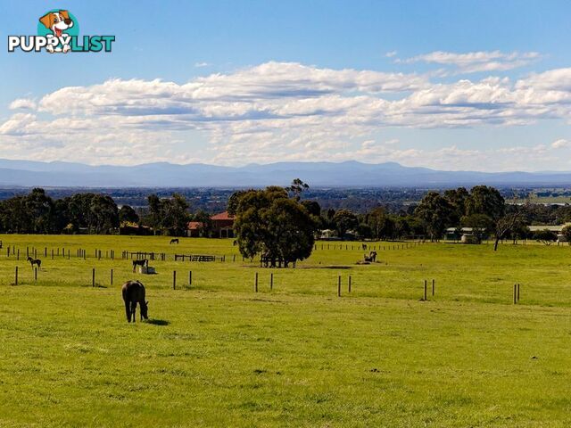 Lot 5 Andrews Road LONGFORD VIC 3851