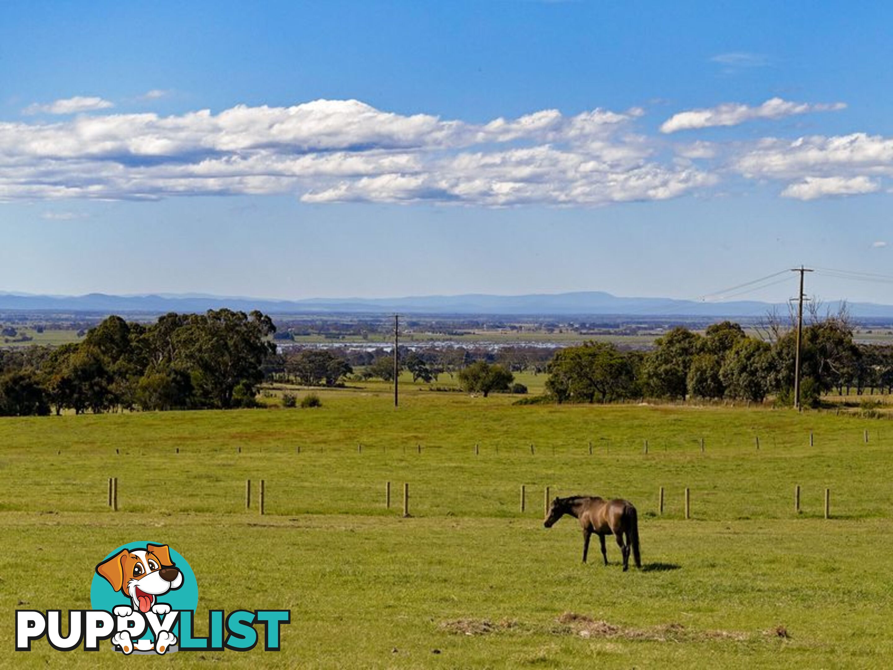 Lot 5 Andrews Road LONGFORD VIC 3851