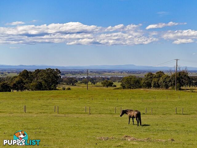 Lot 5 Andrews Road LONGFORD VIC 3851