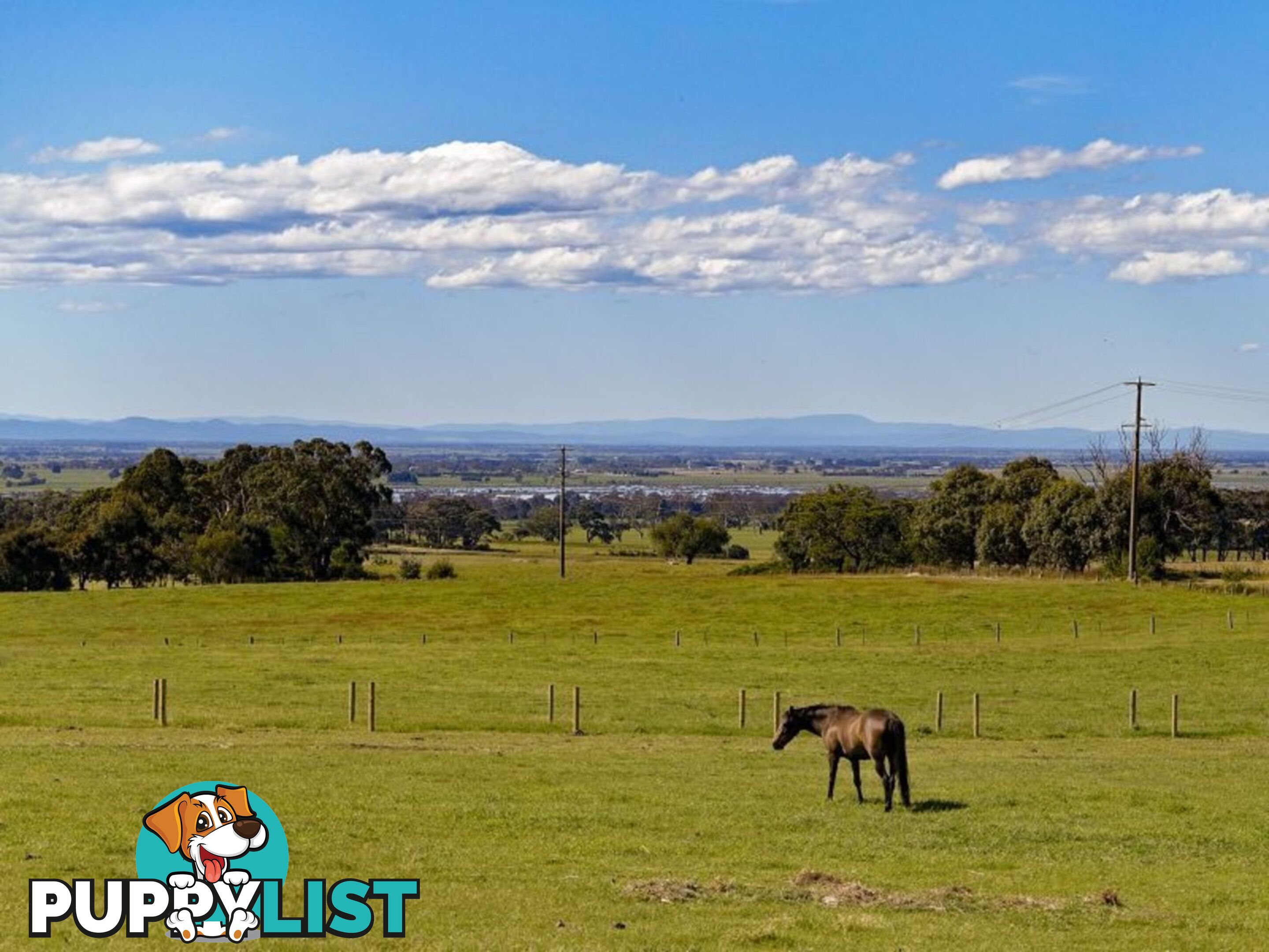 Lot 24 Andrews Road LONGFORD VIC 3851