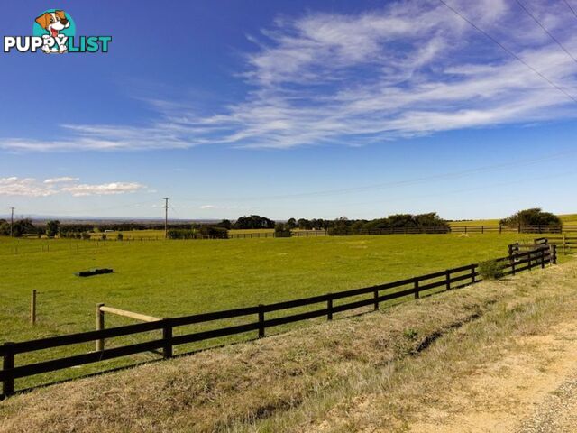 Lot 24 Andrews Road LONGFORD VIC 3851