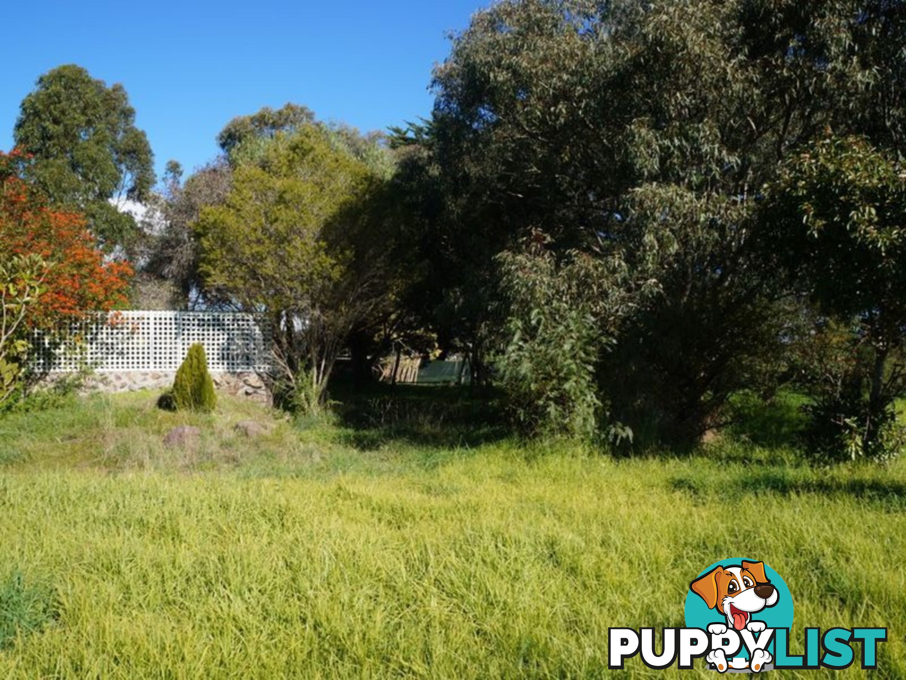 Lot 1 7A Andrews Road LONGFORD VIC 3851