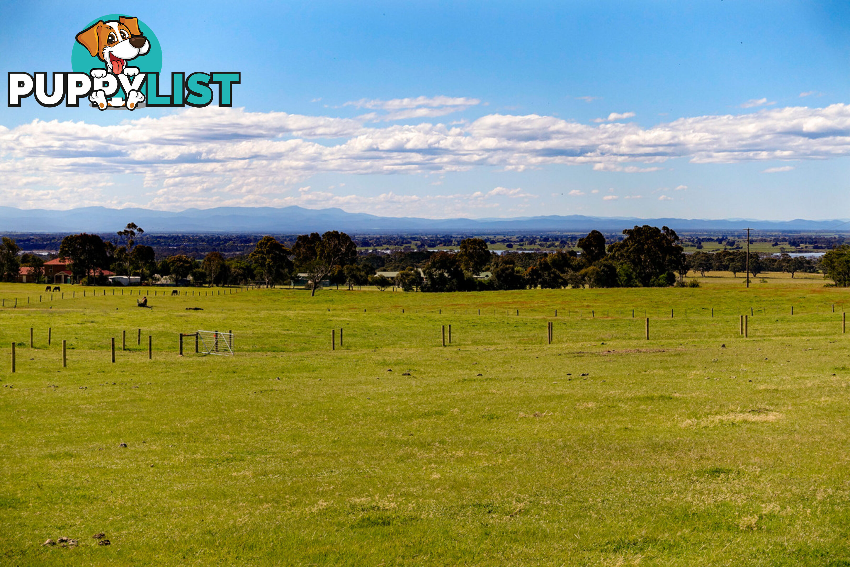 Lot 1 Andrews Road LONGFORD VIC 3851