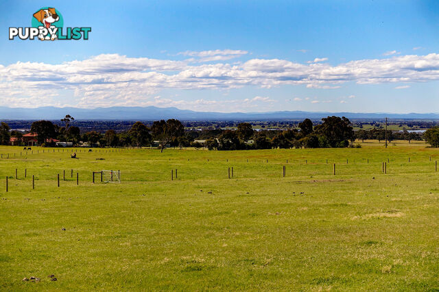 Lot 1 Andrews Road LONGFORD VIC 3851