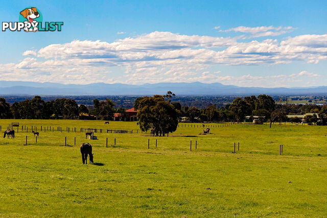 Lot 1 Andrews Road LONGFORD VIC 3851