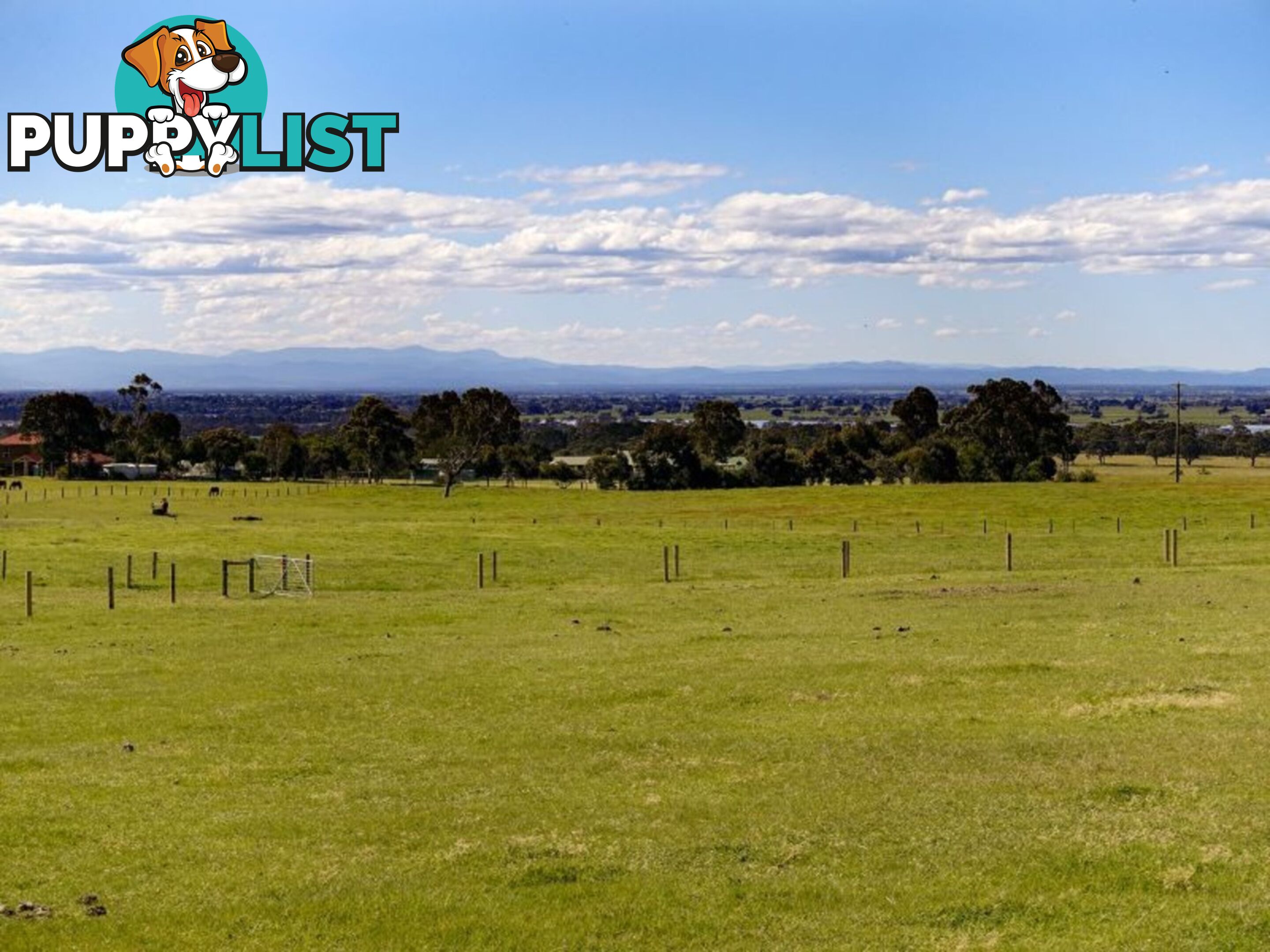 Lot 25 Andrews Road LONGFORD VIC 3851