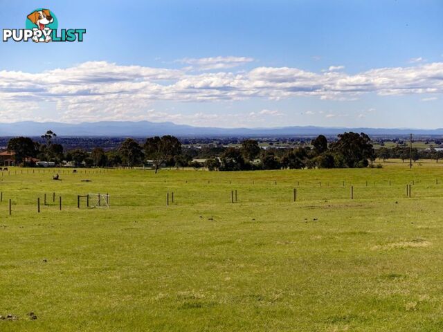 Lot 25 Andrews Road LONGFORD VIC 3851