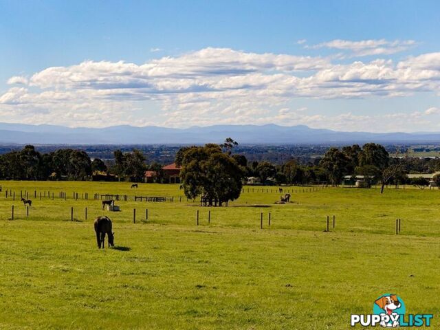 Lot 7 Andrews Road LONGFORD VIC 3851