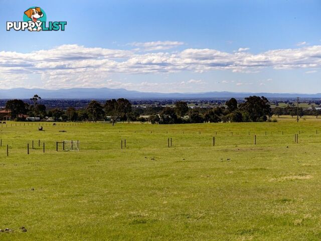 Lot 7 Andrews Road LONGFORD VIC 3851