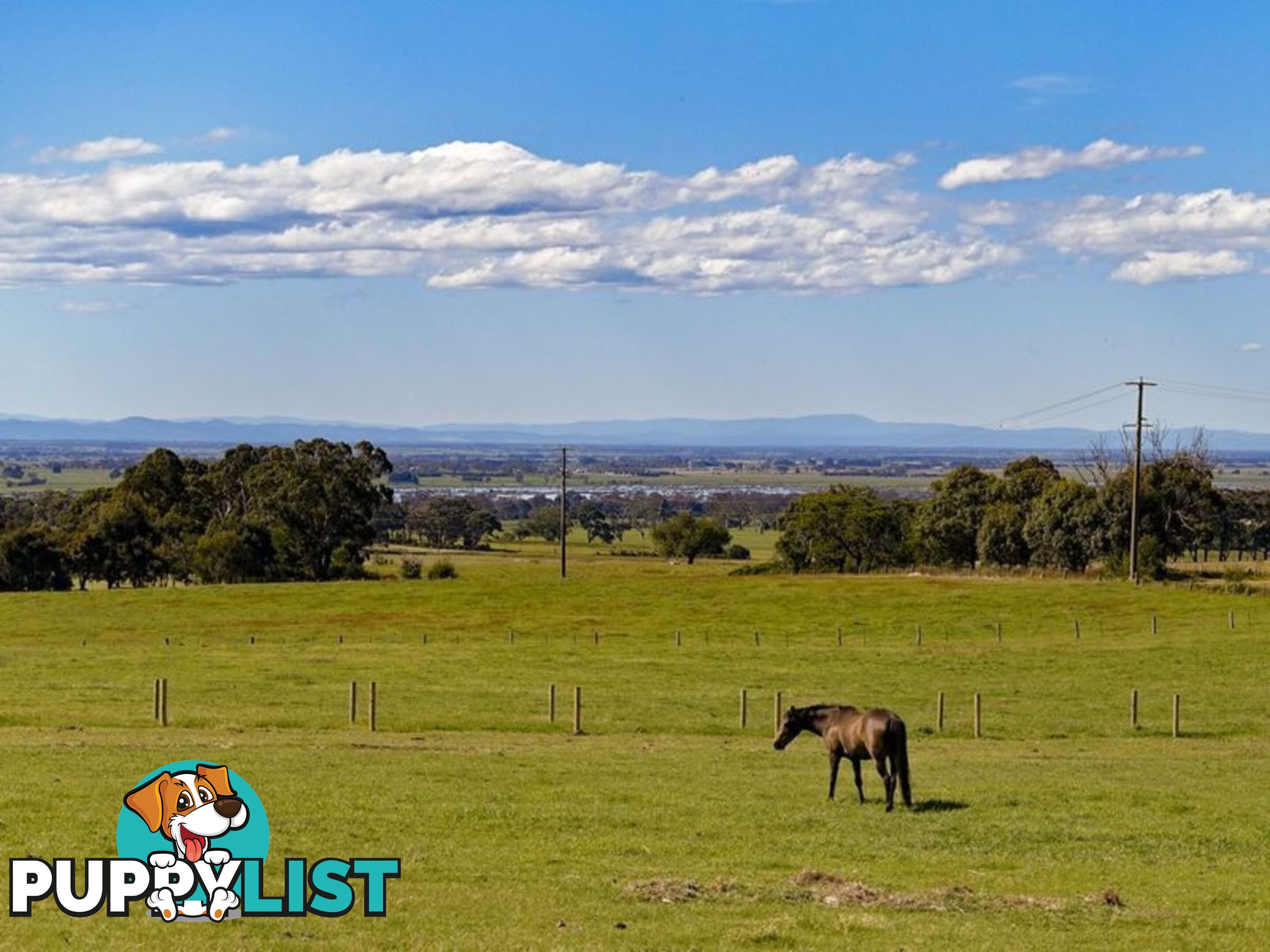 Lot 7 Andrews Road LONGFORD VIC 3851