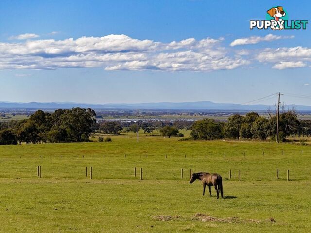 Lot 7 Andrews Road LONGFORD VIC 3851