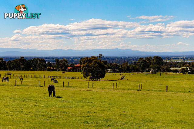 Lot 4 Andrews Road LONGFORD VIC 3851