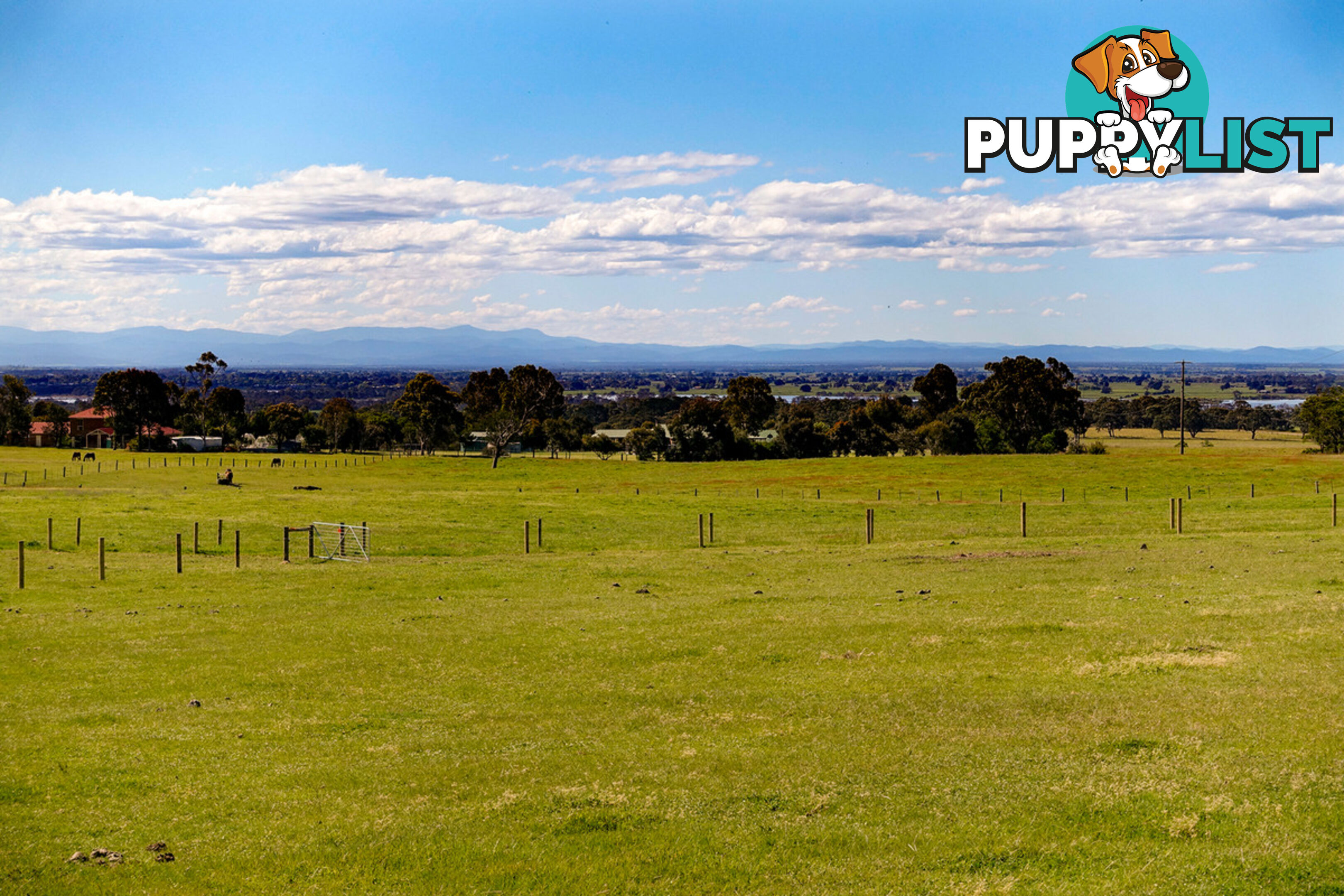 Lot 4 Andrews Road LONGFORD VIC 3851