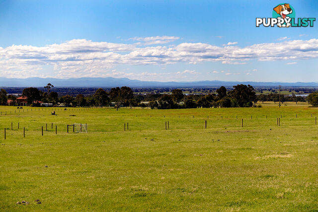 Lot 4 Andrews Road LONGFORD VIC 3851