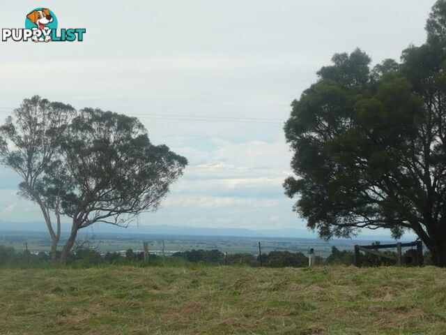 Lot 2 53 Newnham Road LONGFORD VIC 3851