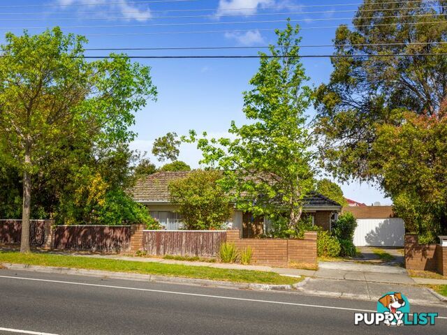 398 Springfield Road MITCHAM VIC 3132