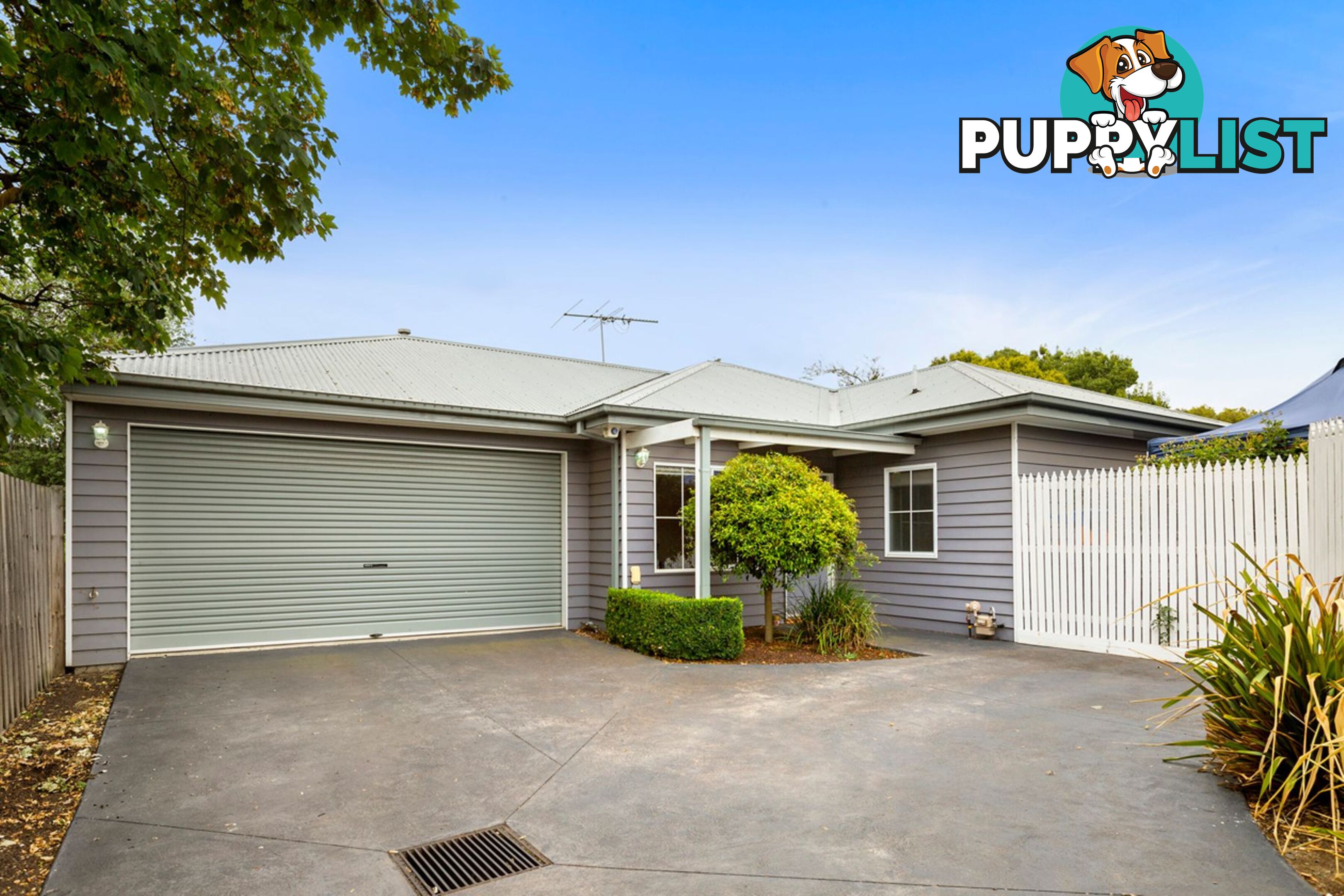 3 15 Peter Street BOX HILL NORTH VIC 3129