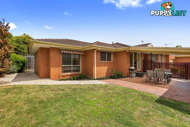 3 16 Oxford Street NUNAWADING VIC 3131