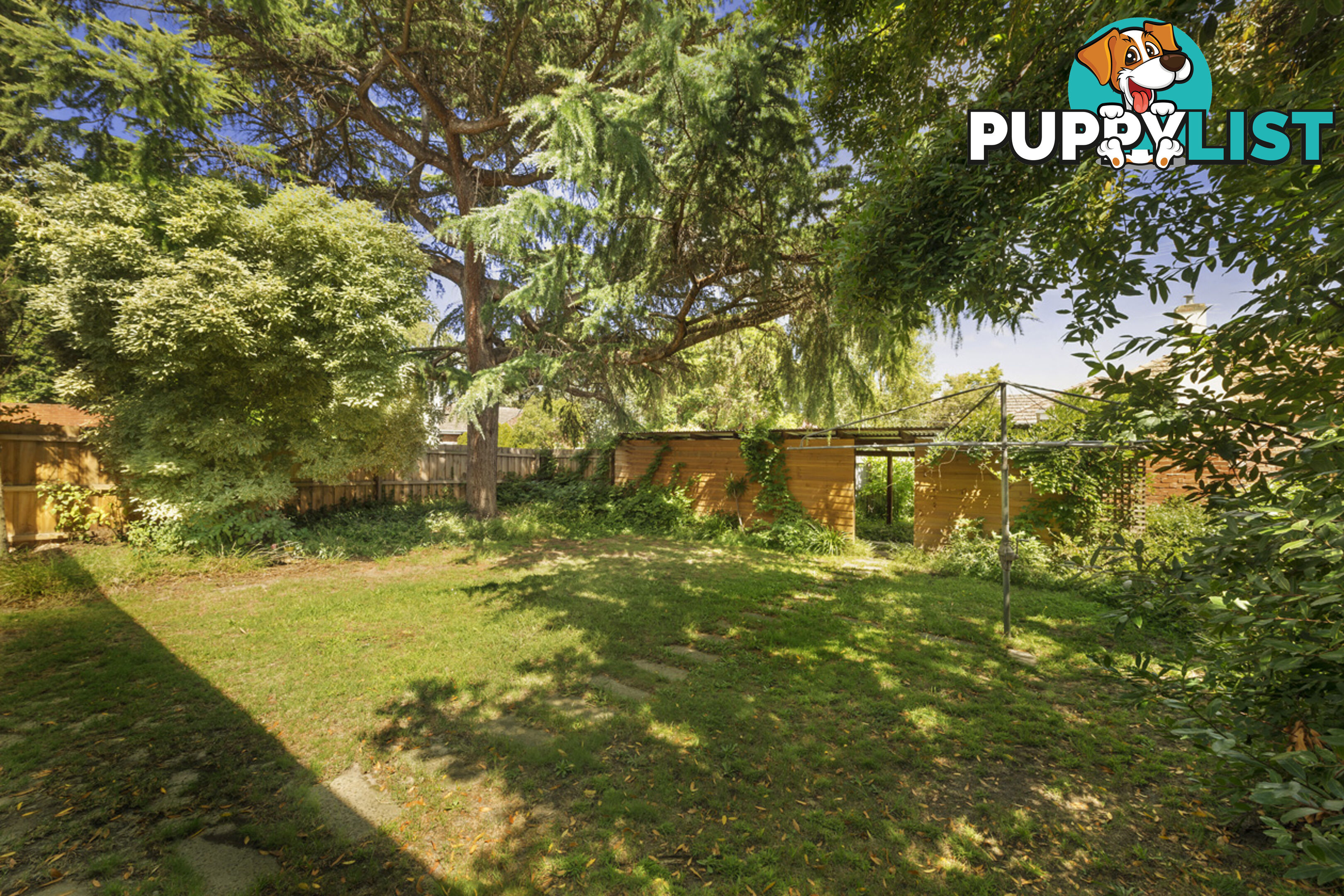 10 Yeovil Road Glen Iris VIC 3146