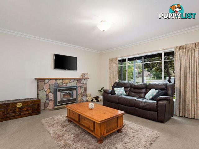 12 Carroll Avenue CROYDON VIC 3136