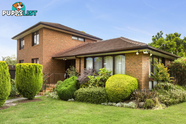 24 Minchinbury Drive VERMONT SOUTH VIC 3133