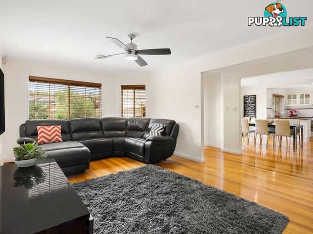 3 16 Oxford Street NUNAWADING VIC 3131