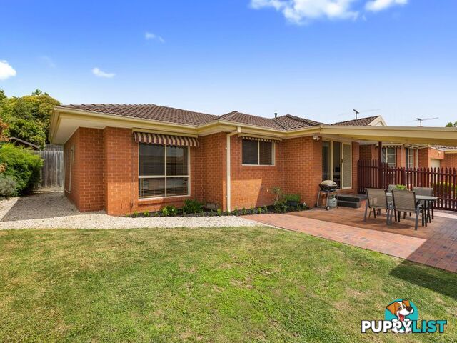 3 16 Oxford Street NUNAWADING VIC 3131