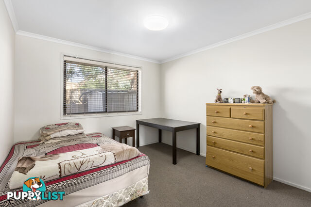 2 53 Cumming Street BURWOOD VIC 3125