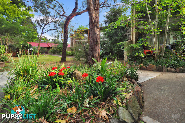 16/74 Floss Street HURLSTONE PARK NSW 2193