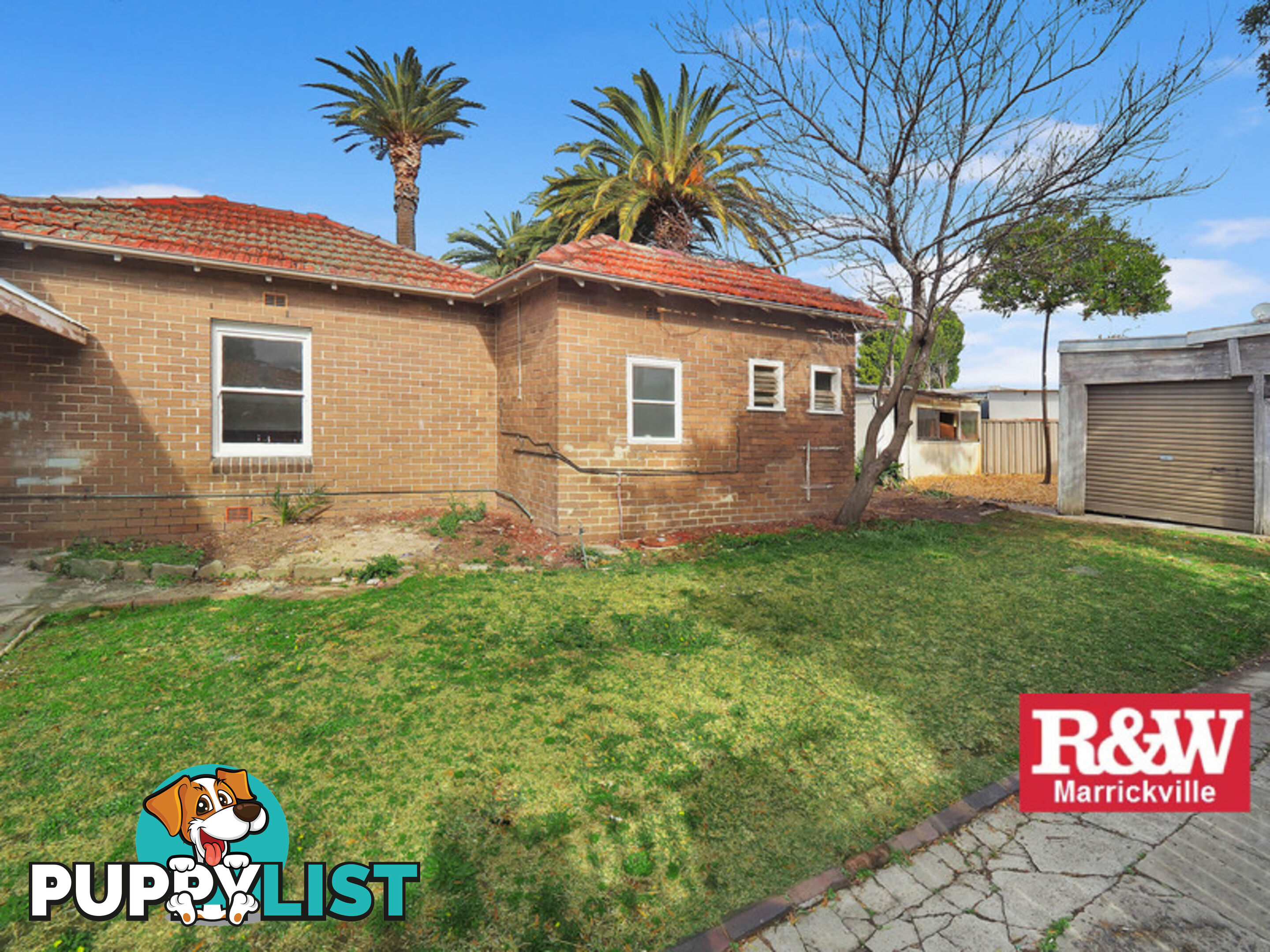 6 Griffiths Street HURLSTONE PARK NSW 2193