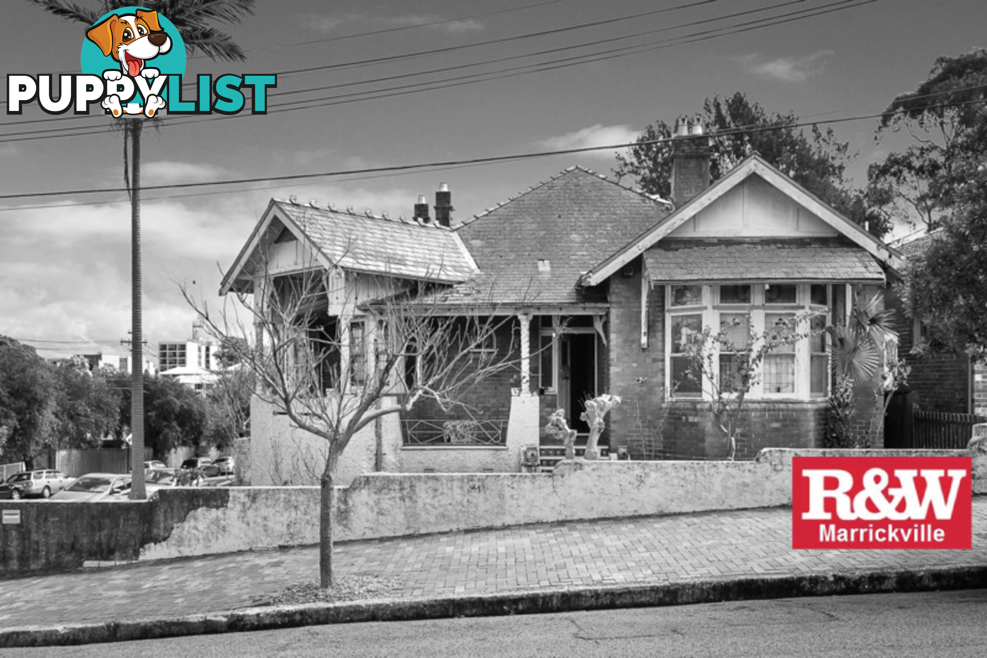 17 Tamar Street MARRICKVILLE NSW 2204